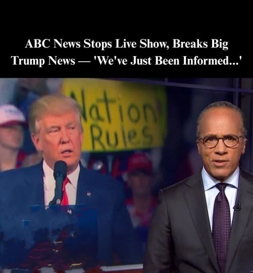 ABC Anchor Admits Truth As Trump’s DC Crackdown Yields Big Results -